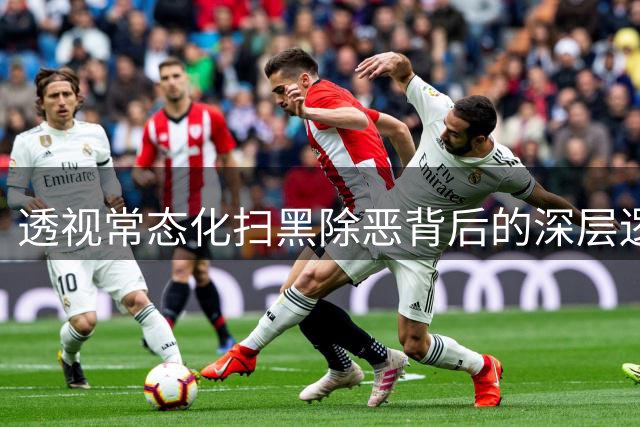 透视常态化扫黑除恶背后的深层逻辑